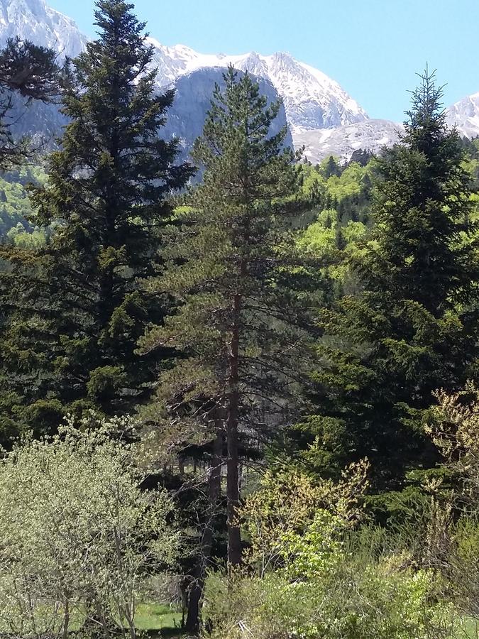 Hospederia Prepirineo Hotell Undués-Pintano Exteriör bild